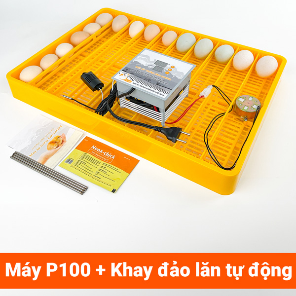 may-ap-trung-p100-3